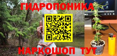 тгк Краснознаменск