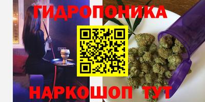 стафф Апшеронск