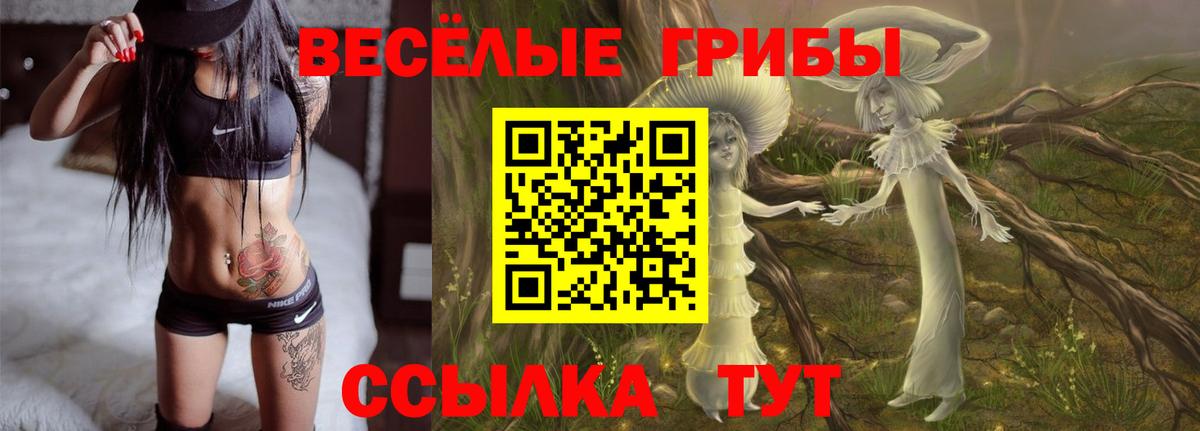 Курган  Галлюциногенные грибы прущие грибы  Вход с VPN 